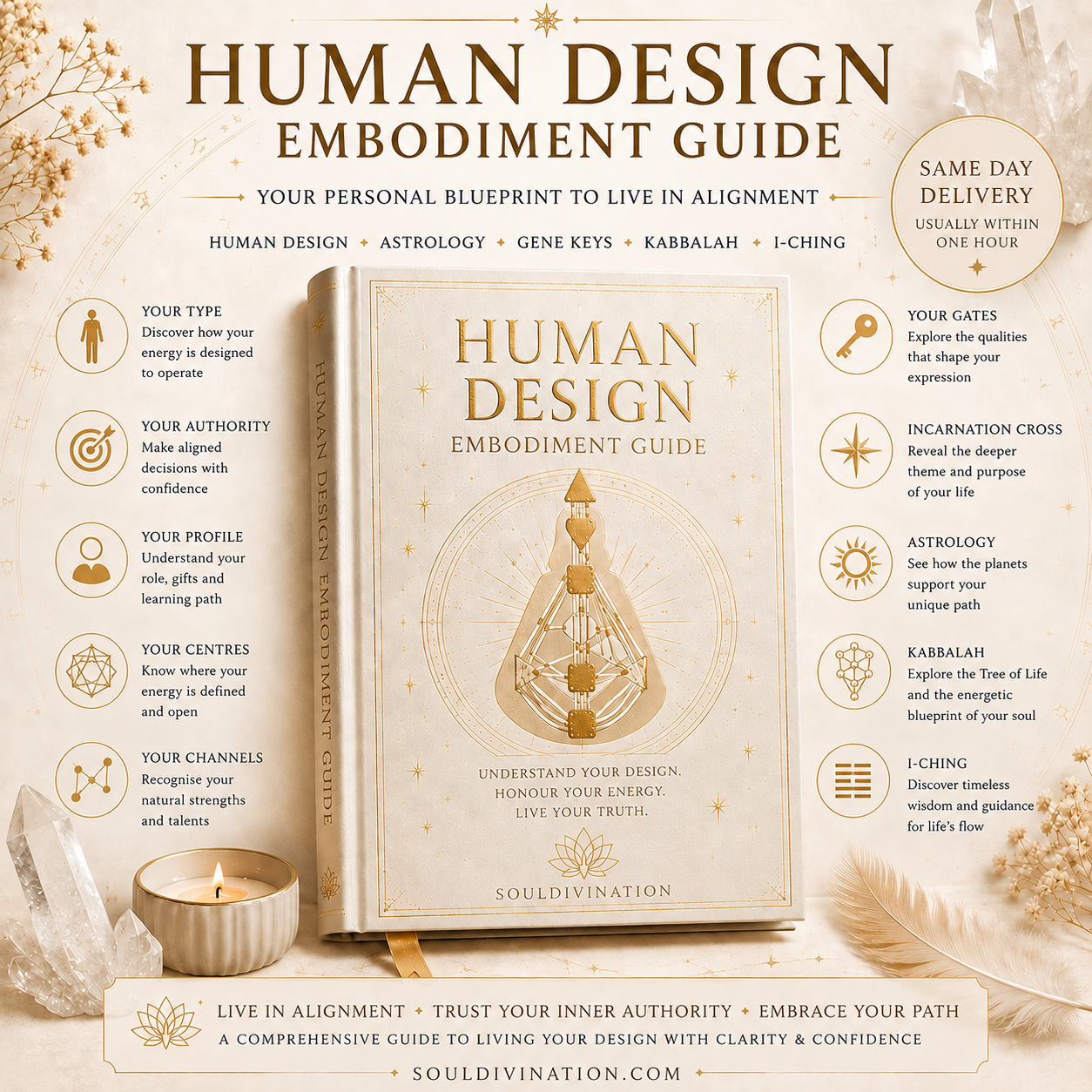 Human Design Reading | Personalised Human Design PDF, Type, Authority, Profile & Energy Blueprint